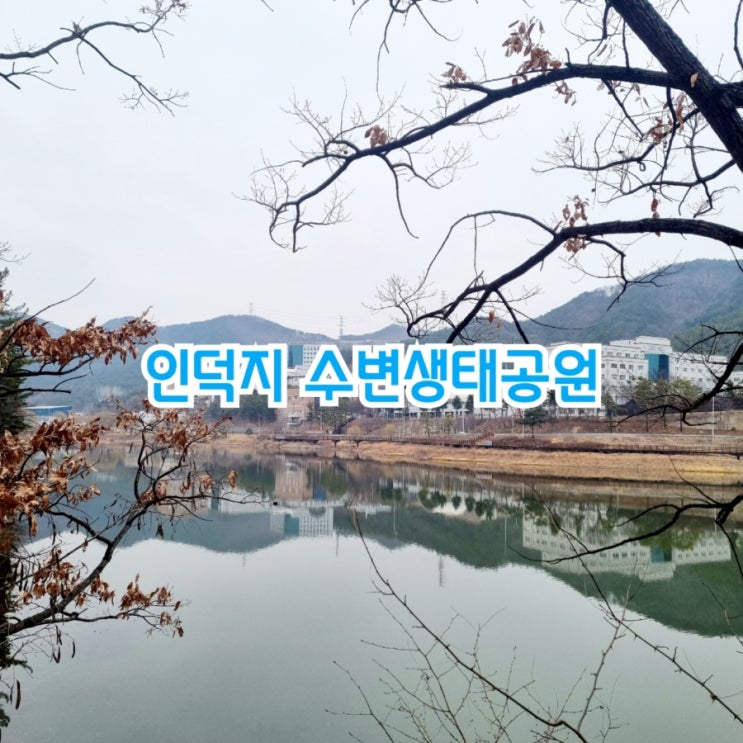 구미가볼만한곳 인덕지 수변생태공원 feat 경운대학교