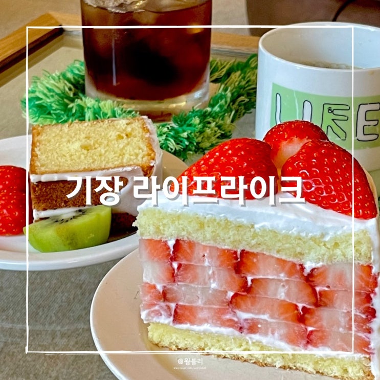 기장 일광카페 라이프라이크 딸기케이크 맛집이에요