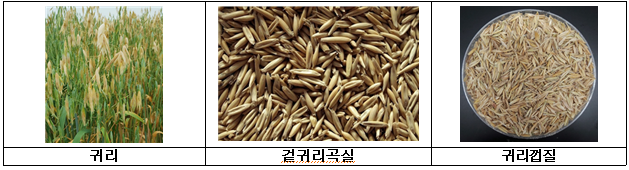 ‘귀리 껍질’ ☞ 여성 갱년기 증상 개선 효과 : 네이버 블로그