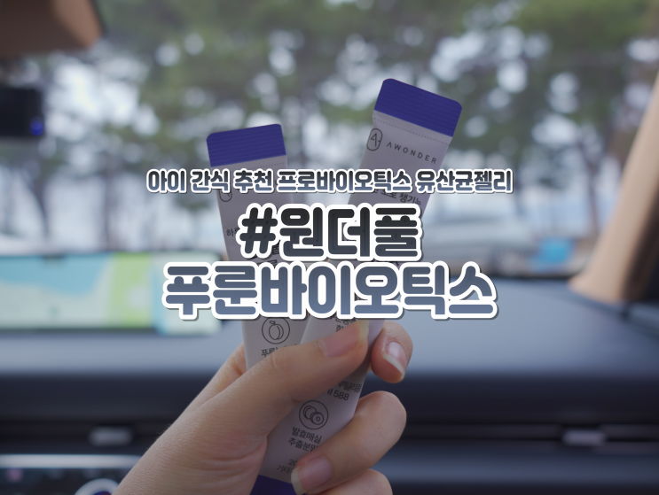  안국약품 아이간식 테일러푸룬 원더풀 푸룬바이오틱스 유산균젤리