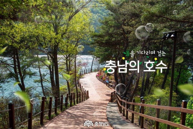 충남 가볼만한곳 봄을 기다리며 걷는 충남의 호수 | 충남도청페이스북