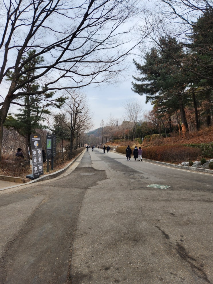서울 보라매공원 둘레길 - 강아지와 함께 산책하기 좋은 곳(반려견 놀이터)