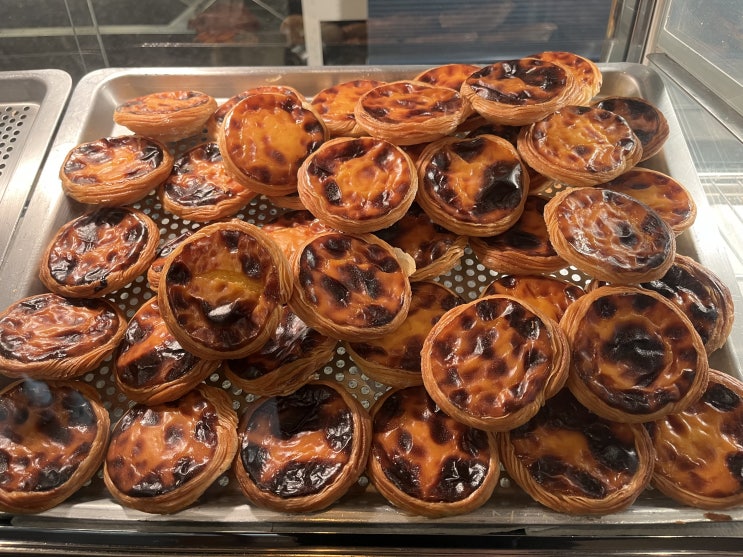  [수원] 조원동 포르투갈식 에그타르트 맛집 우기스