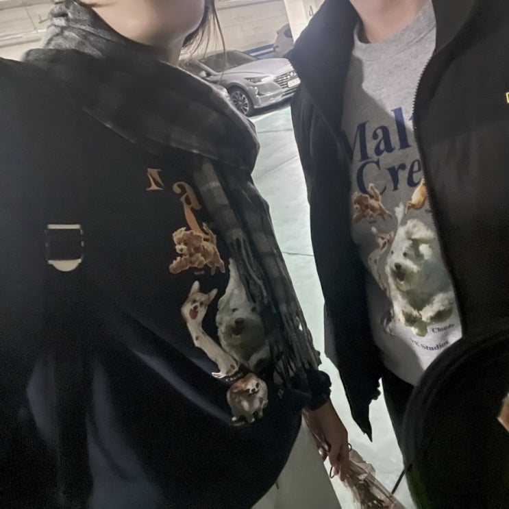  경주 & 포항 여행 I SRT 열차에서 잃어버린 목도리 유실물 찾기
