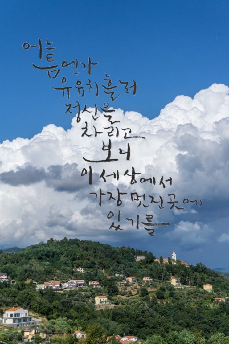  [힐링&마음치유] 초보의 캘리그라피 좋은글-이 세상에서 가장 멋진 곳에 있기를, 하치의 마지막 연인
