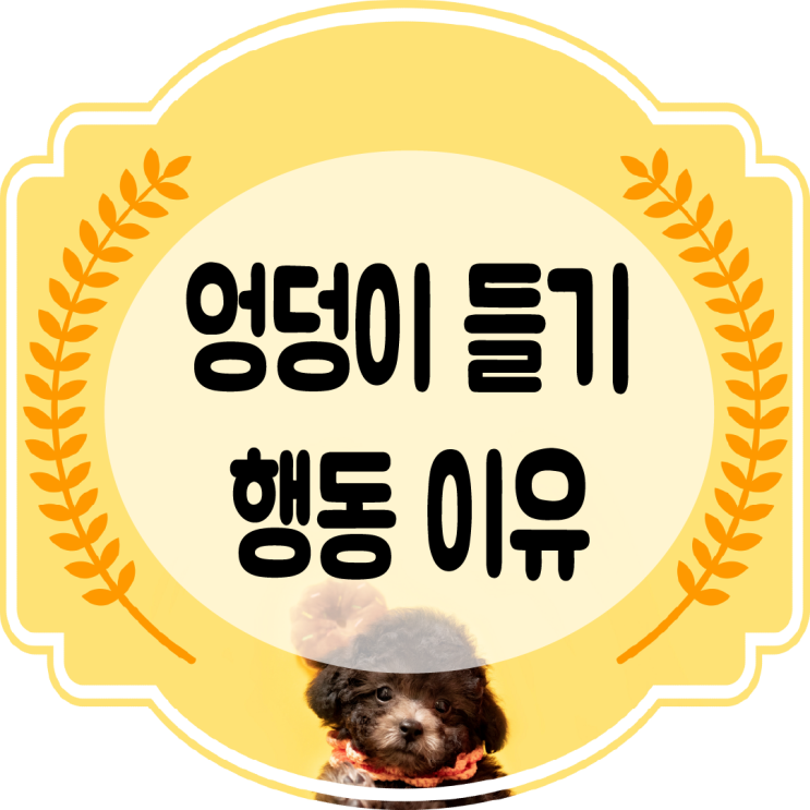  강아지 엉덩이 들기 일명 세배 자세 왜 하는 걸까??