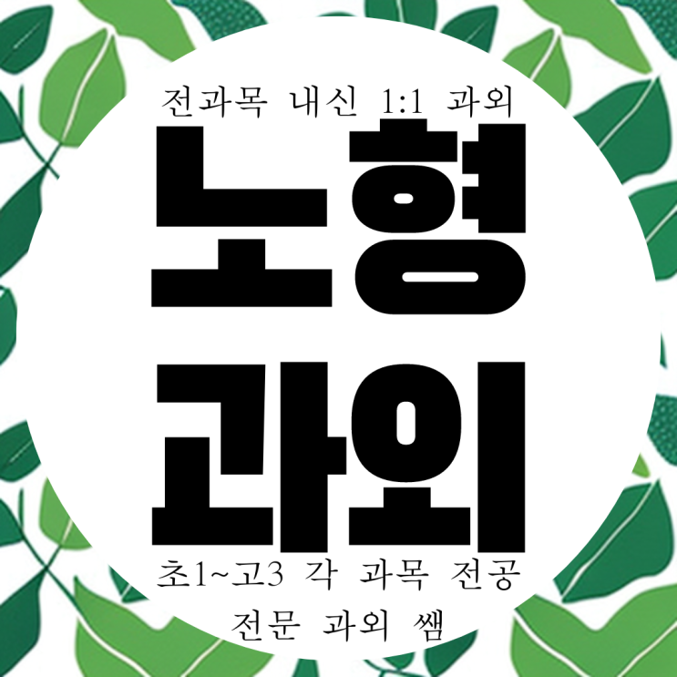  신제주 노형동 영수 과외 방문 국어 과학 역사 사회 한국사 제주 제일고 남녕고 내신 전문 과외