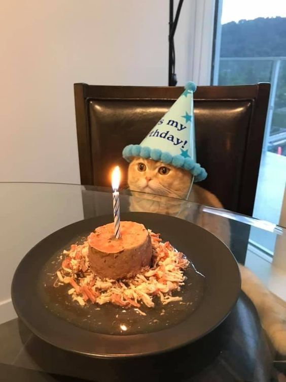 HAPPY BIRTHDAY to 승연 HAPPY BIRTHDAY to 승연