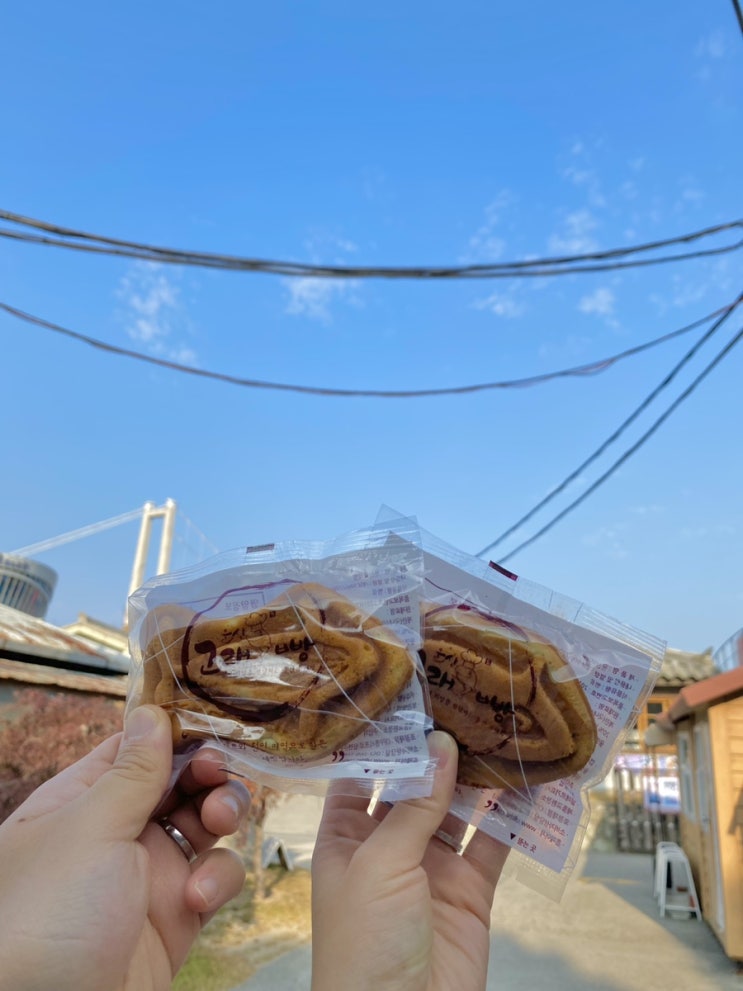  [울산/이색데이트] 장생포 고래문화마을