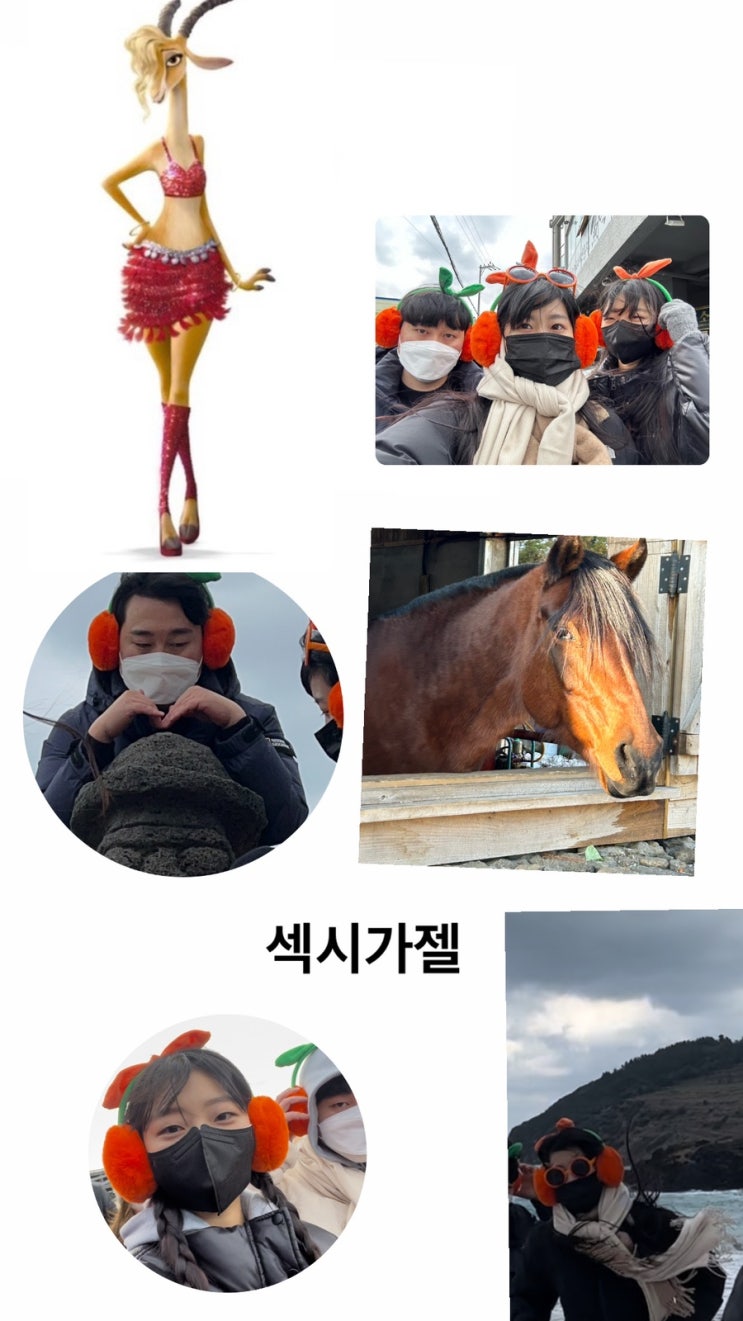  마지막 제주여행 3탄  ⋆⁺₊⋆