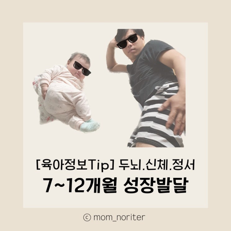  [맘노리터 정보] 개월별 성장발달Ⅱ (7~12개월) 두뇌발달, 신체발달, 정서발달