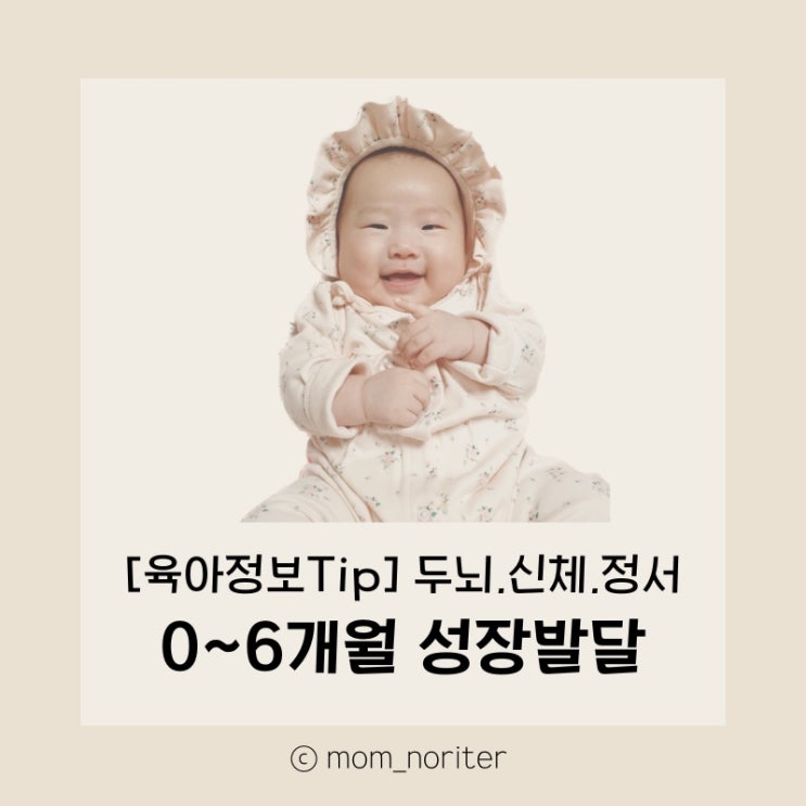  [맘노리터 정보] 개월별 성장발달Ⅰ (0~6개월) 두뇌발달, 신체발달, 정서발달