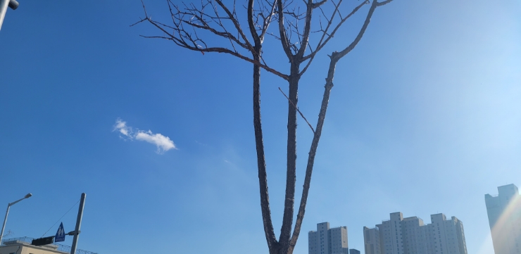  드라이브 시원하게 2023.02.19 기분 좋은 일요일
