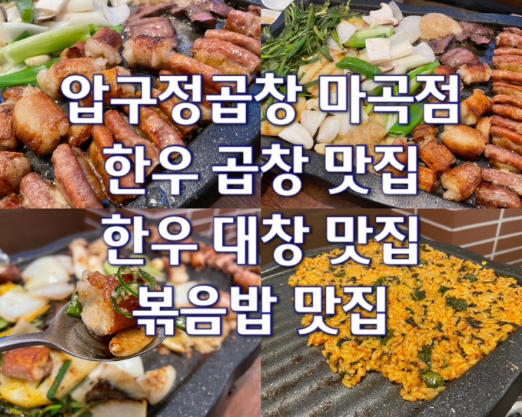  고소하고 녹진했던 발산역 한우 곱창 맛집 압구정곱창