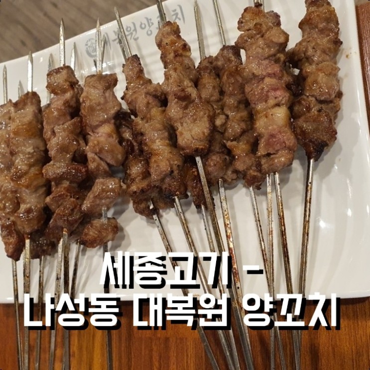 [세종 고기]서울 대림동보다 맛있는 찐 양꼬치 맛집 나성동 대복원양꼬치