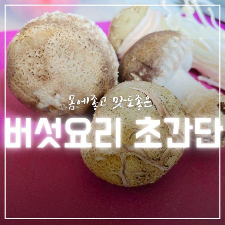  매화송이버섯 이슬송이버섯 초간단 요리
