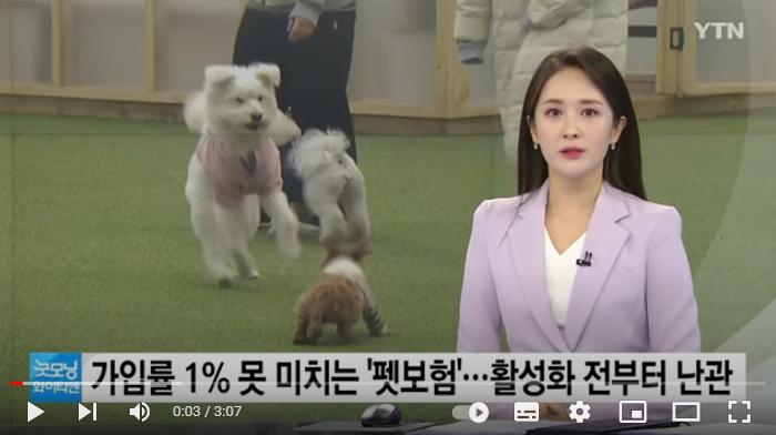 가입률 1% 못 미치는 '펫보험'...활성화 전부터 난관 / YTN