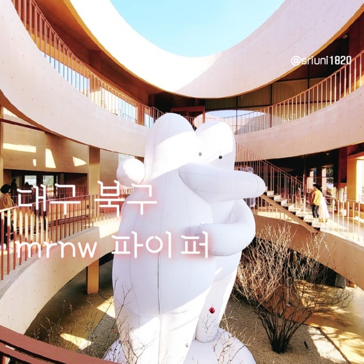  [카페] '23. 2월 19일 대구 북구 사진찍기 좋은 mrnw(미래농원) 파이퍼