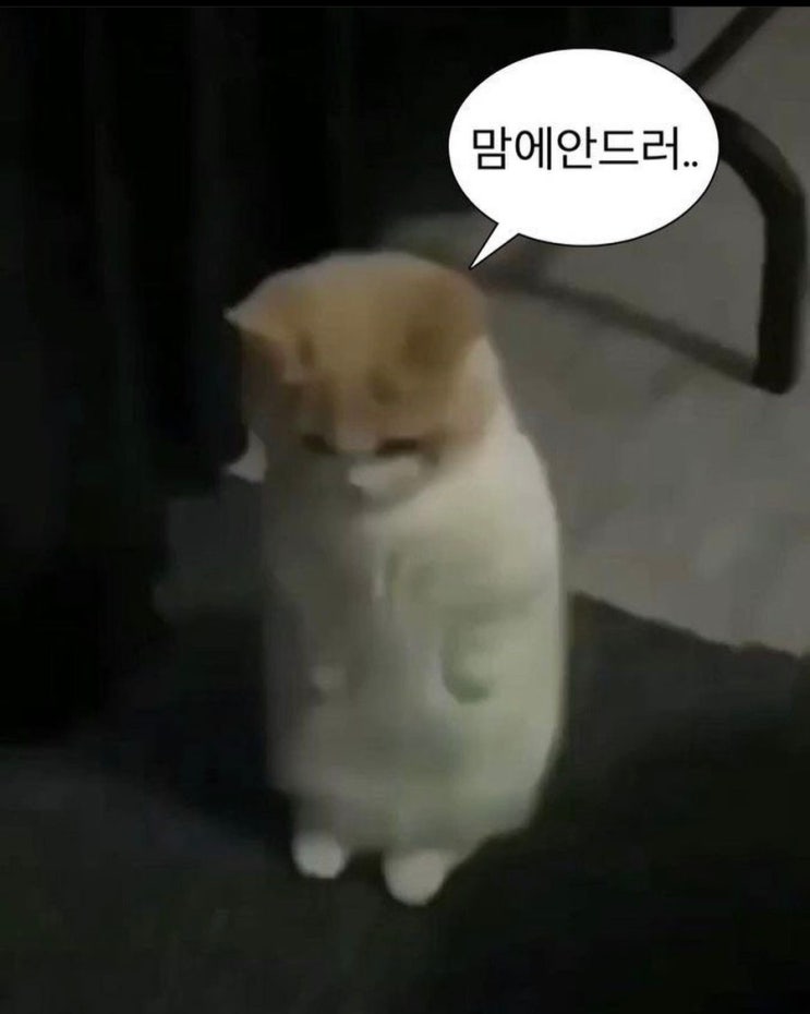  모든 것이 수포로 돌아갔다