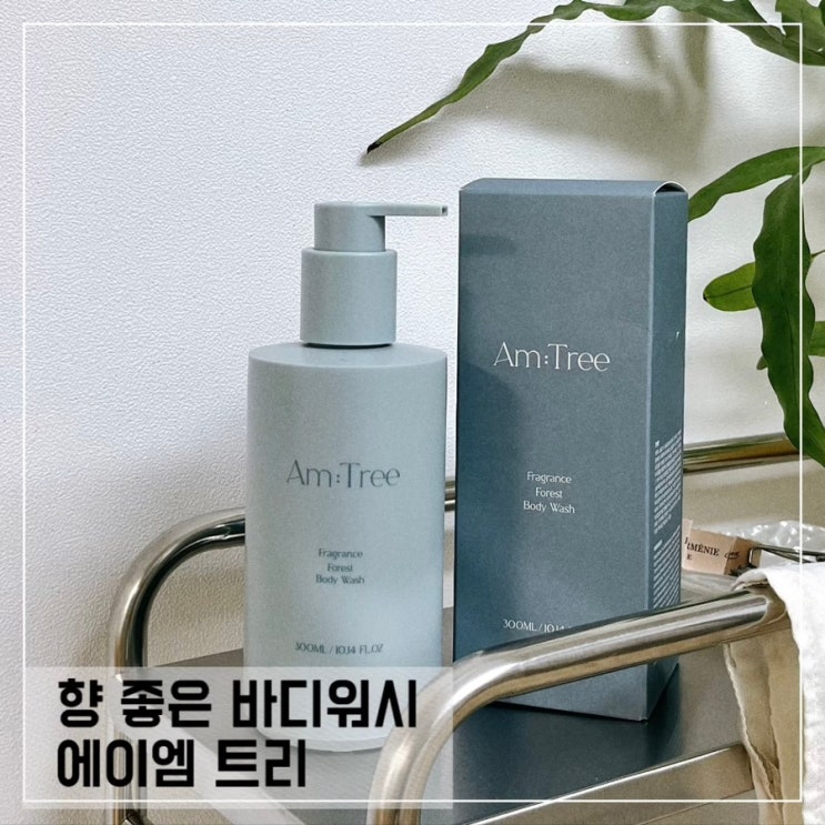  향 좋은 바디워시추천 에이엠트리 프레그런스 숲 바디워시 Am:Tree