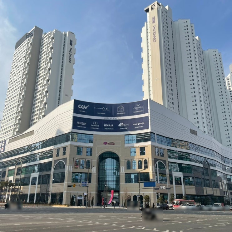  동탄2신도시 임장후기 - 린스트라우스더레이크, 더레이크시티부영3단지, 하우스디더레이크, 레이크꼬모상가, 그랑파사쥬, 동탄호수공원