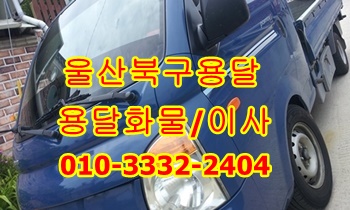 울산북구용달 호계 외동 입실 모화 용달 불국사 방어진 운송. 울산북구용달 호계 외동 입실 모화 용달 불국사 방어진 운송.