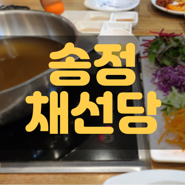  송정 채선당 - 샤브샤브 처순이는 무한리필로 간다!