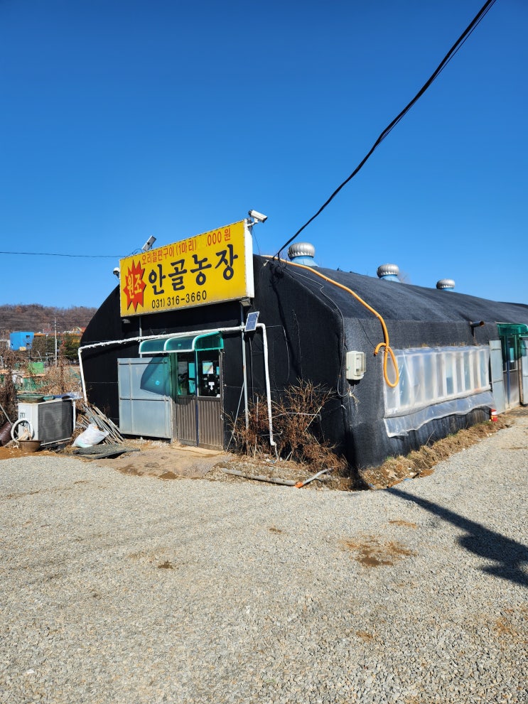  시흥 안골 오리농장 후기