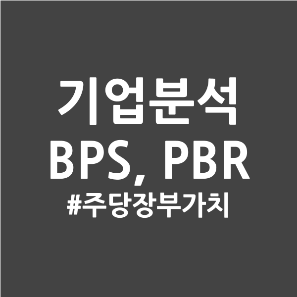  ⑤기업분석 - BPS, PBR