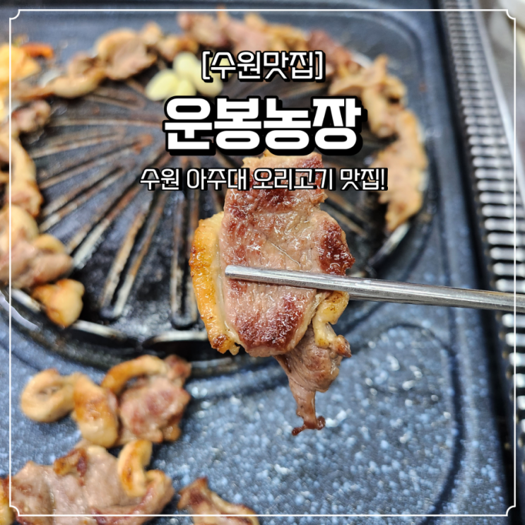  수원 오리고기 맛집 운봉농장