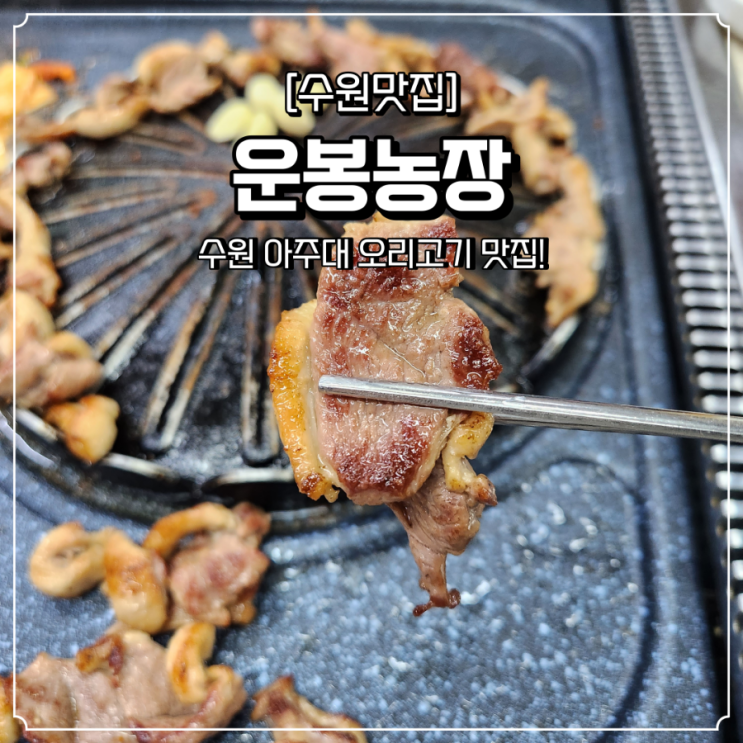 수원 오리고기 맛집 운봉농장