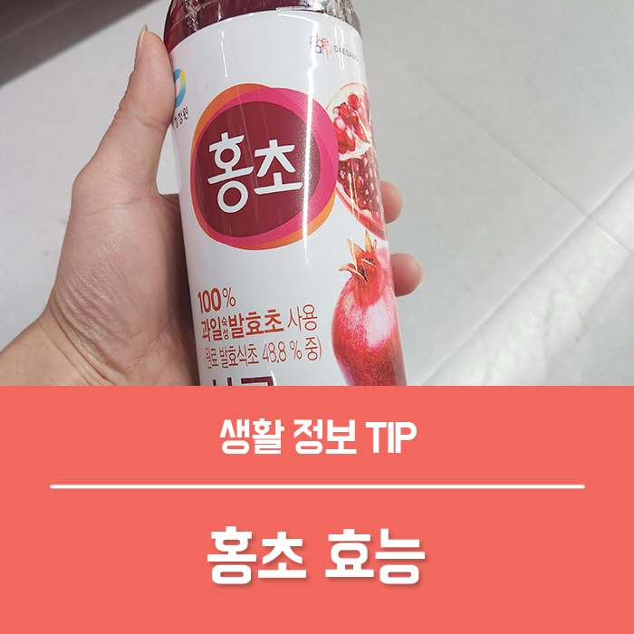 홍초 효능 베스트 4, 홍초 칼로리는? 청정원 홍초 석류 복분자 자몽 풋사과 맛