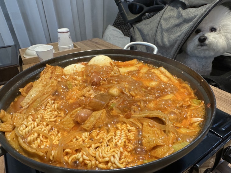  송도 애견동반 식당, 커낼워크 즉석떡볶이 맛집 앗싸떡볶이