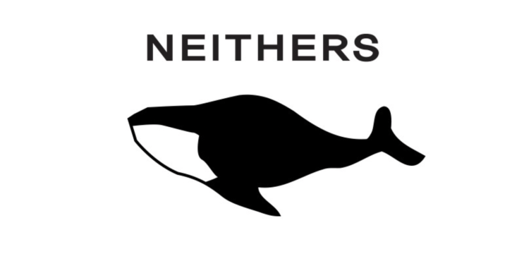 네이더스 제43주년 세계 고래의 날 기념 할인 43시간 43%