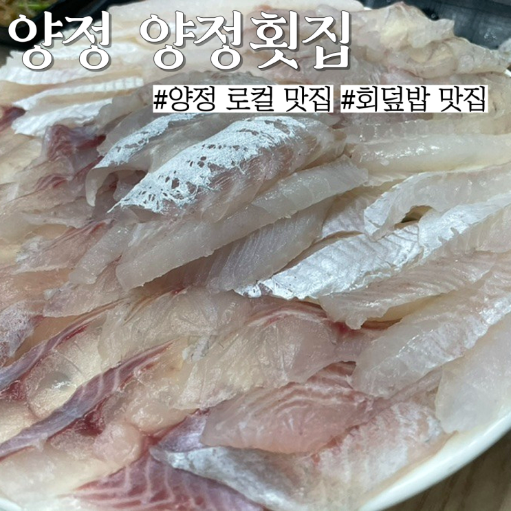 부산 양정 회맛집: 부산시청근처 가성비 좋은 "양정횟집"