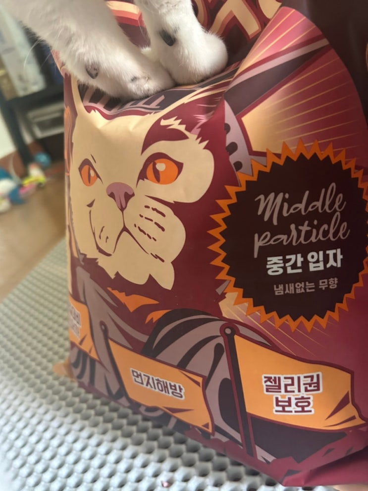  [가성비 좋은 고양이모래:내돈내산]고양이모래 가격때문에 힘드시죵?