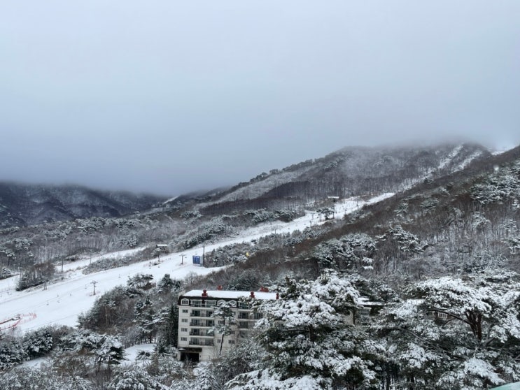 무주 덕유산 리조트 솔직 후기:: 온천 노천탕 최악 :: BHC 독점 