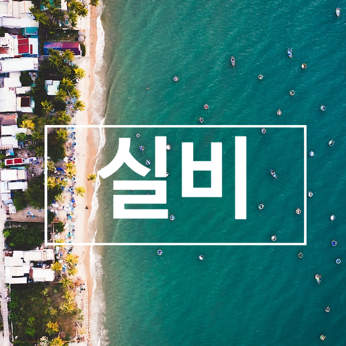  중개사법/ 실비