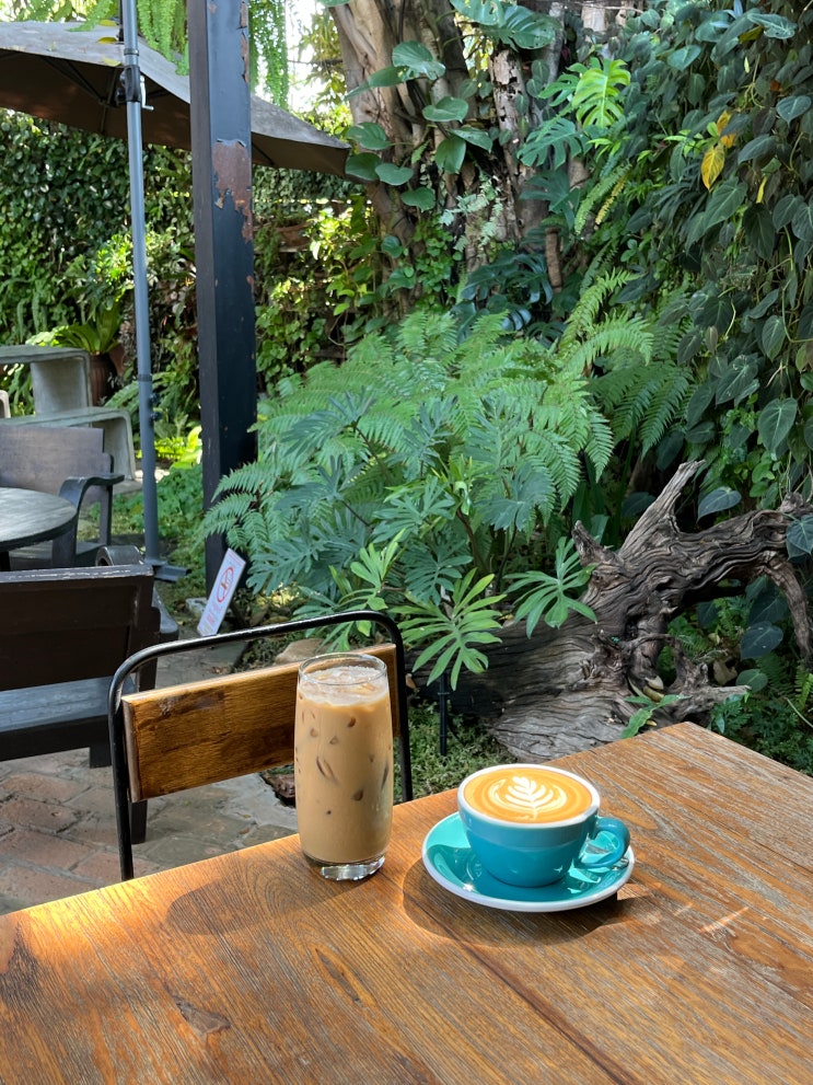  치앙마이카페 푸릇푸릇해서 좋았던 Lush Cafe & Garden