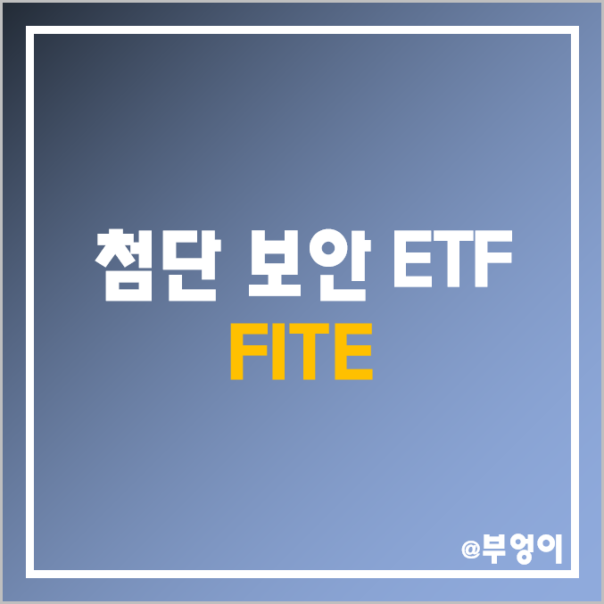 미국 첨단 보안 테마주 ETF - FITE (로봇 주식, 착용·웨어러블 기술, 드론, VR, 우주 항공, 사이버 보안, 방산 관련주) 미국 첨단 보안 테마주 ETF - FITE (로봇 주식, 착용·웨어러블 기술, 드론, VR, 우주 항공, 사이버 보안, 방산 관련주)
