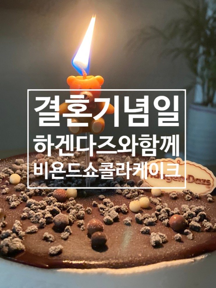 ［하겐다즈］ 비욘드 쇼콜라 아이스크림 케이크 결혼 1주년 기념일에 안성맞춤!