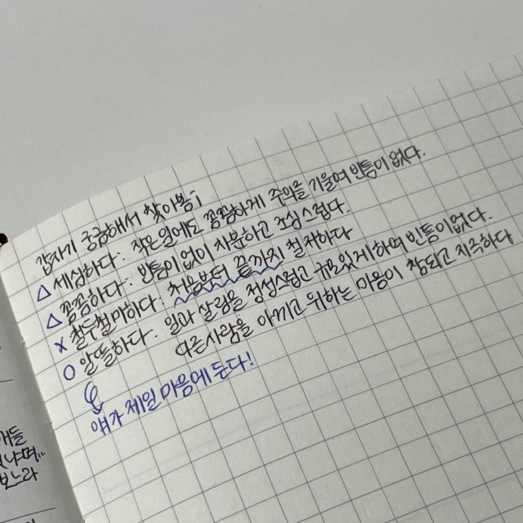  【49, 주간기록 7주차】 유학 짐 싸기, 가족친지지인 인사 RUSH | 김천을 빙자한 대구 여행 | 유학 준비하는 사람 이렇게 많았나 싶고 | 또 떡볶이 | 수업 프로그램 오류