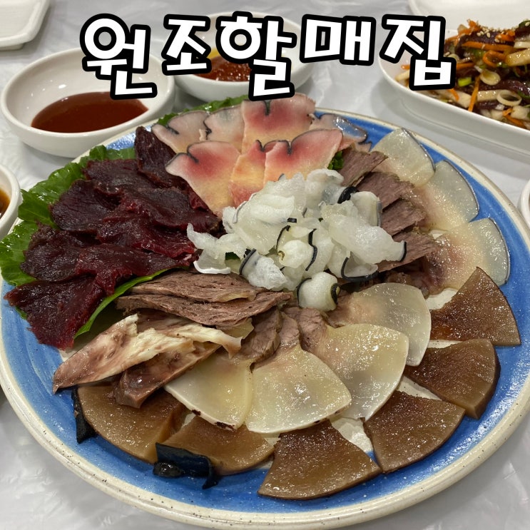  [울산 맛집] 고래고기 맛집 고래고기원조할매집본점