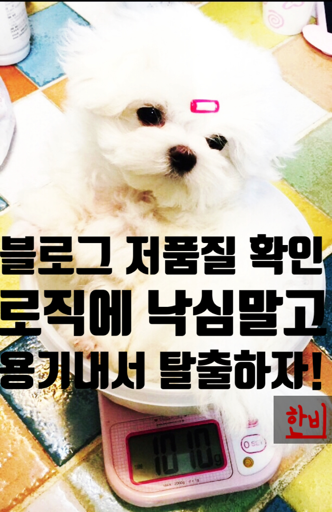  블로그 저품질 확인, 로직의 응징에 낙심하시지 말아야-
