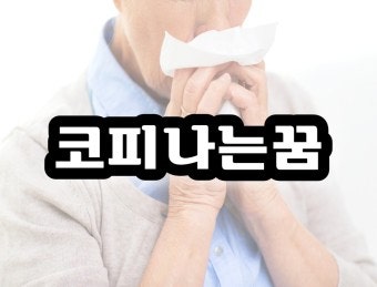 코피 꿈 코피나는 꿈 코피흘리는꿈 코피쏟는꿈 코피가 나는꿈 코피나는꿈해몽 코피꿈해몽