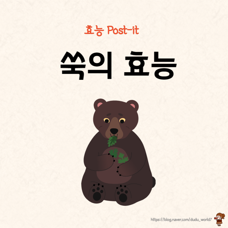  봄 제철 음식, 쑥의 효능과 섭취 시 주의사항