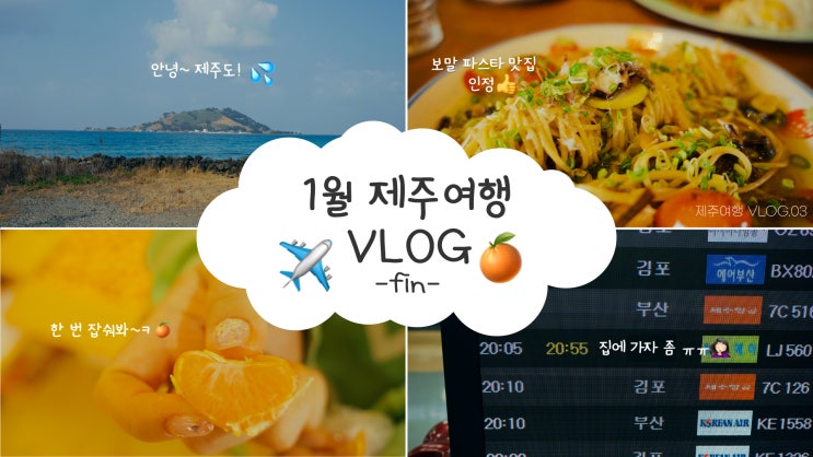 [1월 제주도 2박 3일 여행] 3일차. 안녕, 제주! (수선화식당 / 한림민속5일시장 / 귤 선물 / 카페 진정성 / 제주국제공항)