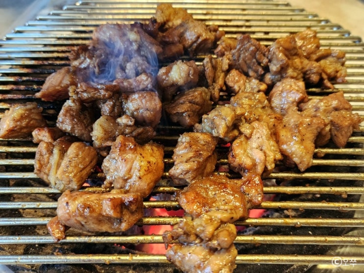  [화성 봉담2지구 맛집] 갈비꽃 봉담점 / 꽃돼지양념구이 추천