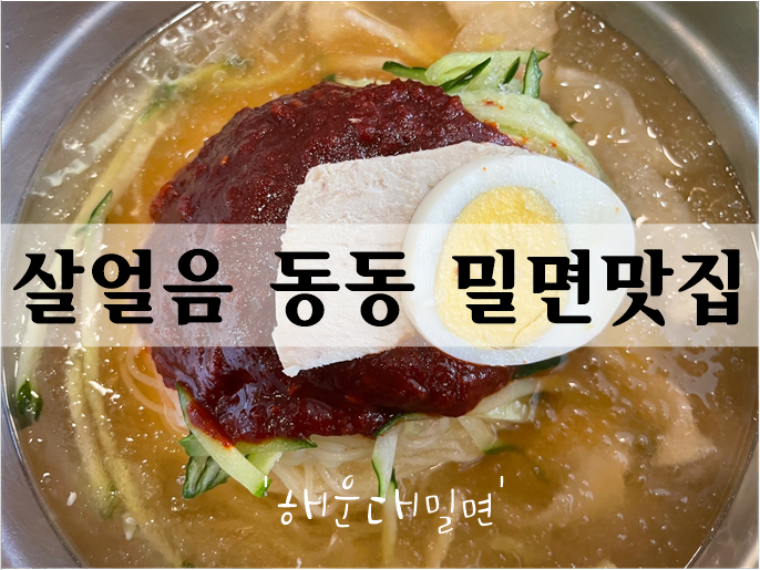  살얼음 동동 부산밀면맛집 '해운대밀면'