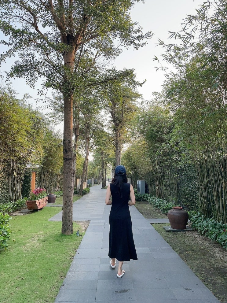  베트남 다낭 4박5일 자유여행 일정 공유 3일차